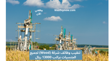 تنقيب وظائف شركة (Wood) لجميع الجنسيات براتب 13000 ريال 10