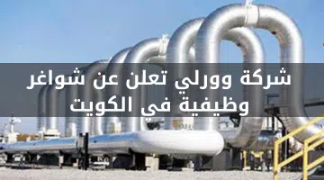 شركة وورلي تعلن عن شواغر وظيفية في الكويت 20