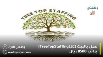 عمل بالبيت (Tree Top Staffing LLC) براتب 8500 ريال