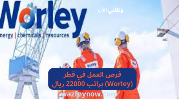 فرص العمل في قطر (Worley) براتب 22000 ريال 20