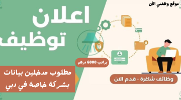 توظيف فوري| مطلوب مدخلين بيانات بشركة خاصة في دبي براتب 6000 درهم 5