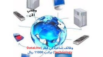 وظائف شاغرة في قطر (DataLine Technology) براتب 11000 ريال 12