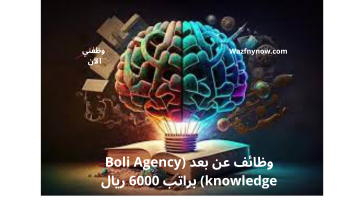 وظائف عن بعد (Boli Agency knowledge) براتب 6000 ريال