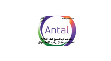 وظائف في الخليج قطر (Antal International) براتب 11400 ريال 23