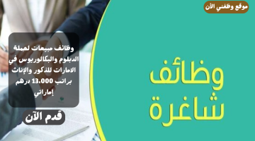 وظائف مبيعات لحملة الدبلوم والبكالوريوس في دبي (براتب 13،000 درهم) إماراتي 7