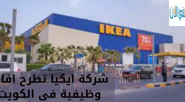شركة ايكيا تطرح افاق وظيفية فى الكويت 11