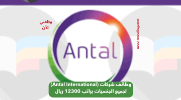 وظائف شركات (Antal International) لجميع الجنسيات براتب 12300 ريال 25