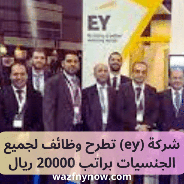 شركة (ey)