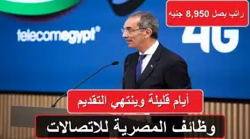 وظائف خالية في «المصرية للاتصالات».. أيام قليلة وينتهي التقديم 3