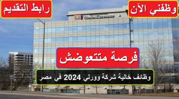 فرصة متتعوضش.. وظائف خالية شركة وورلي 2024 في مصر (رابط التقديم)