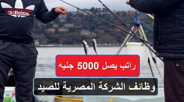 وظائف الشركة المصرية للصيد.. فرص عمل براتب يصل 5000 جنيه وطريقة التقديم 23