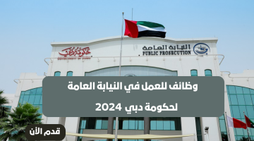 فتح باب التوظيف للعمل في النيابة العامة لحكومة دبي 2024 16