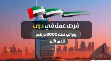 فرص عمل في دبي (بدون خبرة) برواتب تصل 8000 درهم للجنسين 8