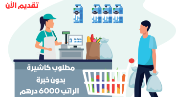 مطلوب كاشيرة للعمل في احد الجهات الخاصة بدبي الراتب 6000 درهم 19