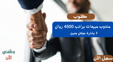 وظائف مبيعات في الرياض براتب 4500 ريال 12