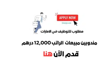وظائف مندوب مبيعات في الإمارات براتب 12,000 درهم إماراتي 10