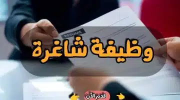 وظيفة استشاري في جدة براتب 40000 الف ريال 8