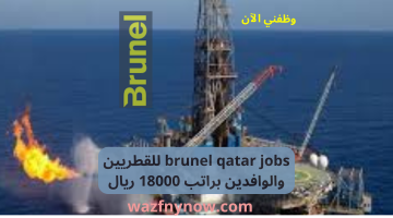 brunel qatar jobs للقطريين والوافدين براتب 18000 ريال 13