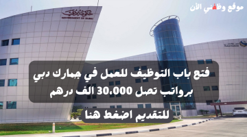فتح باب التوظيف للعمل في جمارك دبي برواتب تصل 30،000 الف درهم