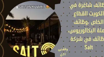 وظائف شاغرة في الكويت القطاع الخاص ،وظائف لحملة البكالوريوس، وظائف في شركة Salt 7