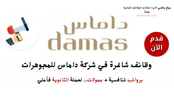 وظائف الرياض ثانوي فأعلي في مجوهرات داماس (للرجال والنساء) برواتب تنافسية