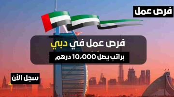 فرص عمل (بدون خبرة) للجنسين براتب يصل 10،000 درهم 10