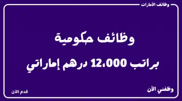 وظائف حكومية في دبي براتب اجمالي 12،000 درهم 11