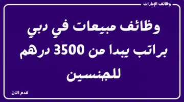 وظائف مبيعات في دبي براتب يبدا من 3500 درهم 8