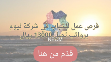 فرص عمل شاغرة مع شركاء نيوم تصل رواتبها إلى 13,000 ريال 5