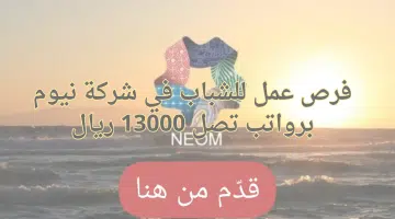 فرص عمل شاغرة مع شركاء نيوم تصل رواتبها إلى 13,000 ريال 2
