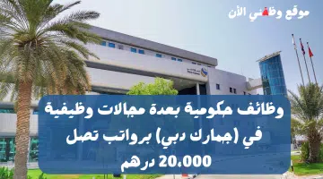 وظائف حكومية بعدة مجالات وظيفية في (جمارك دبي) برواتب تصل 20،000 درهم 4