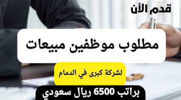 وظائف مبيعات في الدمام براتب 6500 ريال 6