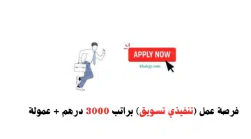 فرصة عمل: تنفيذي تسويق في دبي براتب 3000 درهم + عمولة ثانوية عامة فأعلى 13