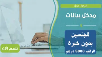 فرصة عمل: مدخل بيانات في دبي براتب 8000 درهم للذكور والإناث 5