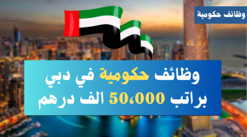 وظائف حكومية في دبي (للجنسين) براتب 50،000 الف درهم 17