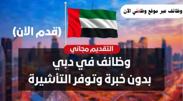 فرص عمل في دبي الإمارات (للرجال والنساء) براتب يصل 26،000 درهم شهريا 7