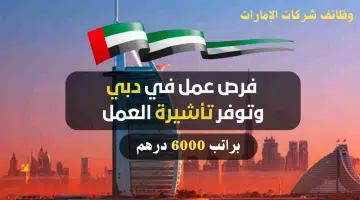وظائف في دبي بدون خبرة للذكور والإناث براتب شهري 6000 درهم 17