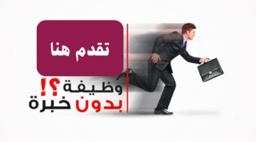 وظيفة بدون خبرة في دبي براتب يبدأ من 4000 درهم 15