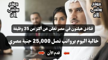 فنادق هيلتون في مصر تعلن عن أكثر من 35 وظيفة خالية اليوم برواتب تصل 25,000 جنية مصري ( قدم الأن ) 49