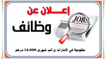 وظائف حكومية في الامارات للرجال والنساء براتب شهرى 14،000 درهم 6