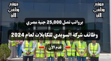 برواتب تصل 25,000 جنية مصري ... وظائف شركة السويدي للكابلات لعام 2024 ( سجل الأن ) 48