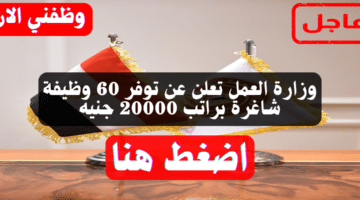 وزارة العمل تعلن عن توفر 60 وظيفة شاغرة براتب 20000 جنيه 54