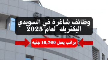 وظائف شاغرة في السويدي اليكتريك (Elsewedy Electric) لعام 2025 براتب يصل 16,760 جنيه 14