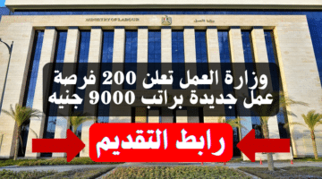 وزارة العمل تعلن 200 فرصة عمل جديدة براتب 9000 جنيه "رابط التقديم" 1