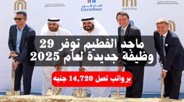 ماجد الفطيم توفر 29 وظيفة جديدة لعام 2025 برواتب تصل 14,720 جنيه "قدم الآن" 1