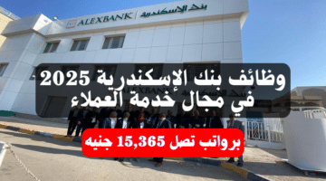 وظائف بنك الإسكندرية 2025 في مجال خدمة العملاء برواتب تصل 15,365 جنيه 5