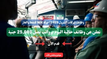 وظائف شركات البترول 2025 | شركة NOV للنفط والغاز تعلن عن وظائف خالية اليوم برواتب تصل 25,000 جنية ( قدم الأن ) 13