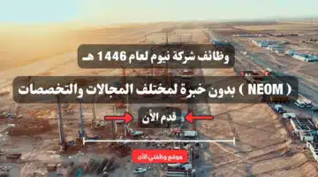وظائف شركة نيوم لعام 1446 هــ ( NEOM ) بدون خبرة لمختلف المجالات والتخصصات .. سجل الأن 3