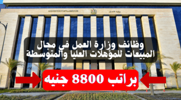 وظائف وزارة العمل في مجال المبيعات للمؤهلات العليا والمتوسطة براتب 8800 جنيه 8