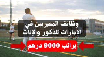 وظائف المصريين في الإمارات للذكور والإناث براتب 9000 درهم «سارع بالتقديم» 5